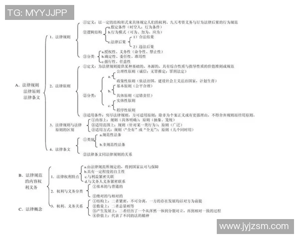 以规则为核心探索现代社会中的法律与道德规范相互交织的影响与作用